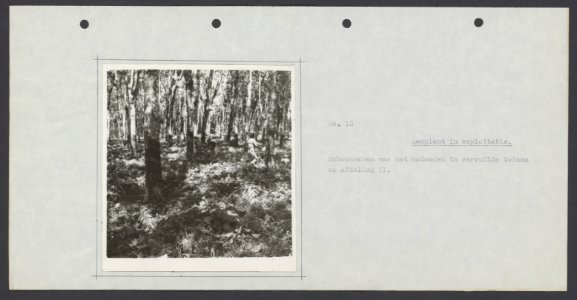 Collectie Fotocollectie Deli Maatschappij, fotonummer 828 55, Bestanddeelnr 828 55