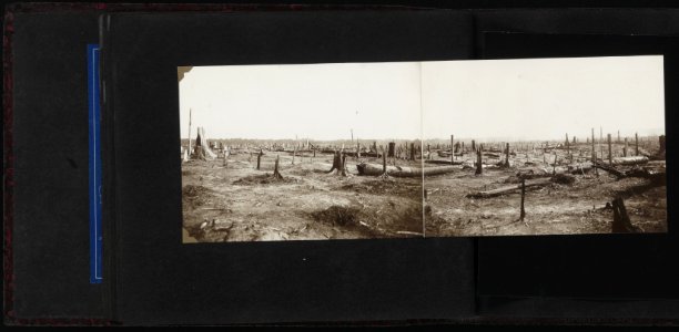 Collectie Fotocollectie Deli Maatschappij, fotonummer 828 22, Bestanddeelnr 828 22