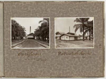 Collectie Fotocollectie Deli Maatschappij, fotonummer 845 34, Bestanddeelnr 845 34