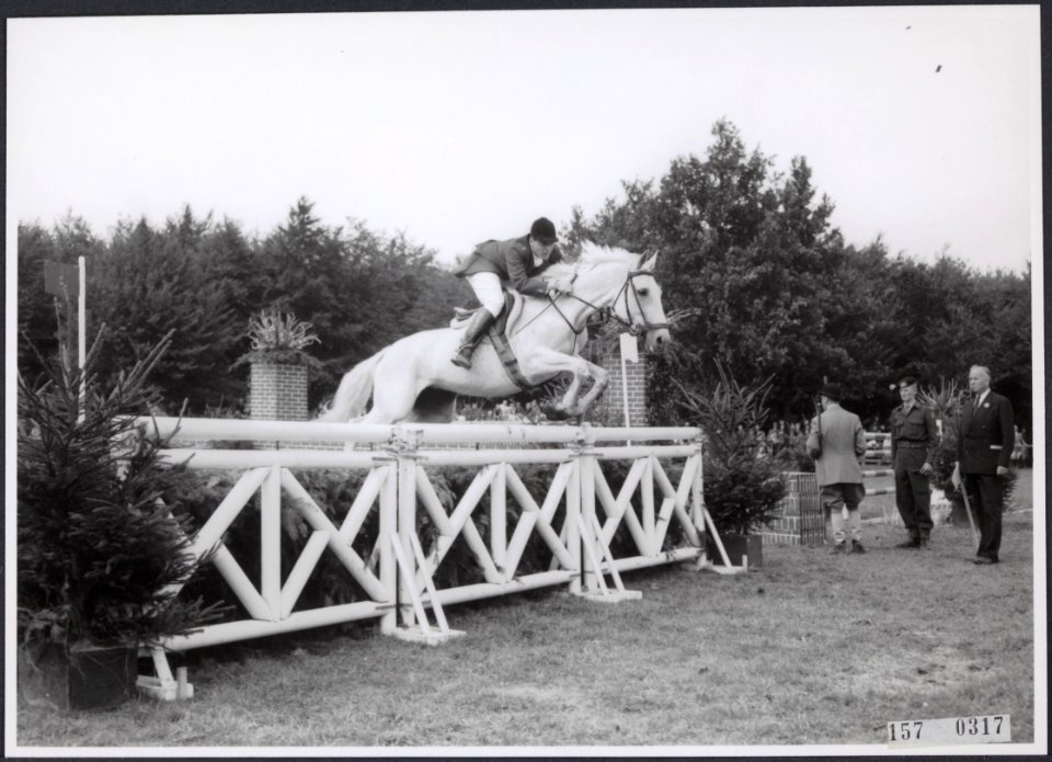 Collectie Fotocollectiie Afdrukken ANEFO Rousel, fotonummer 157-0317, Bestanddeelnr 157-0317