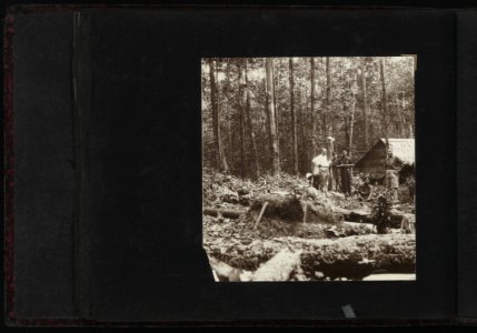 Collectie Fotocollectie Deli Maatschappij, fotonummer 828 39, Bestanddeelnr 828 39