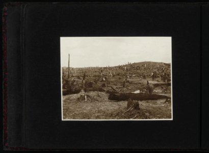 Collectie Fotocollectie Deli Maatschappij, fotonummer 828 82, Bestanddeelnr 828 82