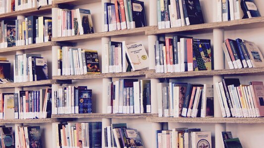 Shelves shelf reading photo