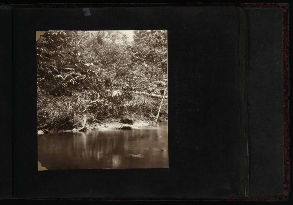 Collectie Fotocollectie Deli Maatschappij, fotonummer 828 40, Bestanddeelnr 828 40