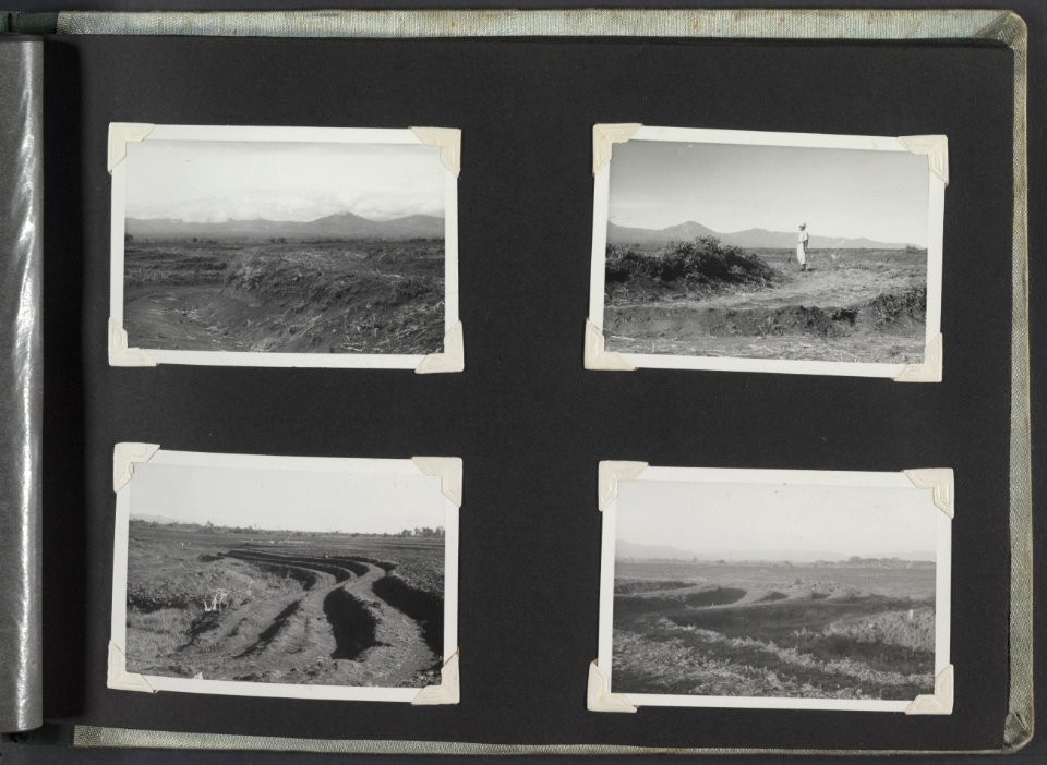 Collectie Fotocollectie Deli Maatschappij, fotonummer 812 23, Bestanddeelnr 812 23