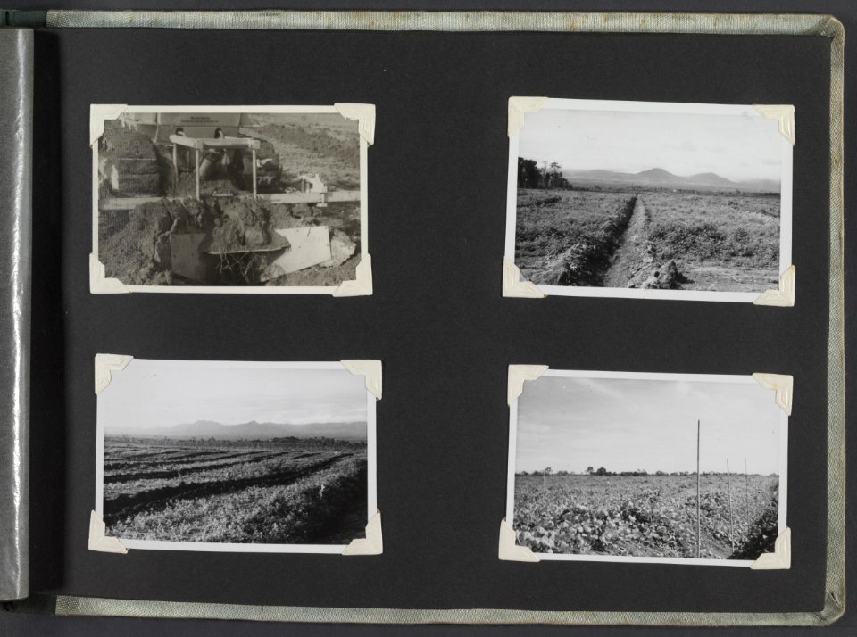 Collectie Fotocollectie Deli Maatschappij, fotonummer 812 21, Bestanddeelnr 812 21