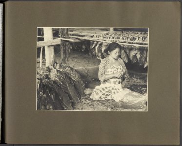 Collectie Fotocollectie Deli Maatschappij, fotonummer 831 017, Bestanddeelnr 831 017