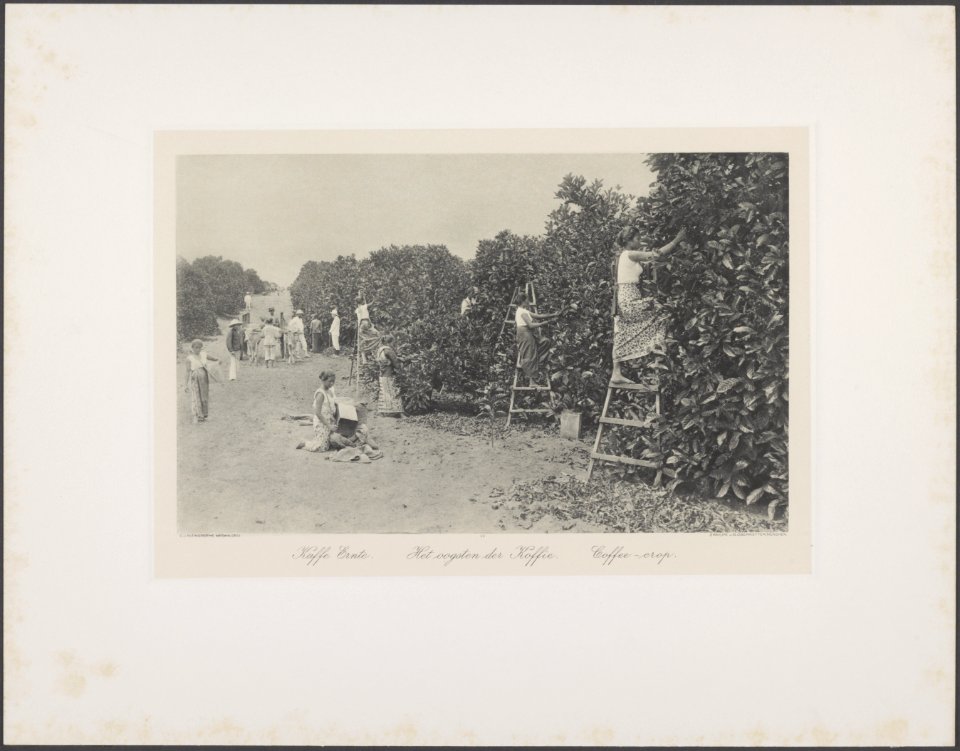 Collectie Fotocollectie Deli Maatschappij, fotonummer 828 74, Bestanddeelnr 828 74