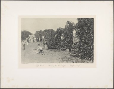Collectie Fotocollectie Deli Maatschappij, fotonummer 828 74, Bestanddeelnr 828 74