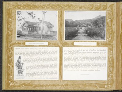 Collectie Fotocollectie Deli Maatschappij, fotonummer 847 37, Bestanddeelnr 847 37