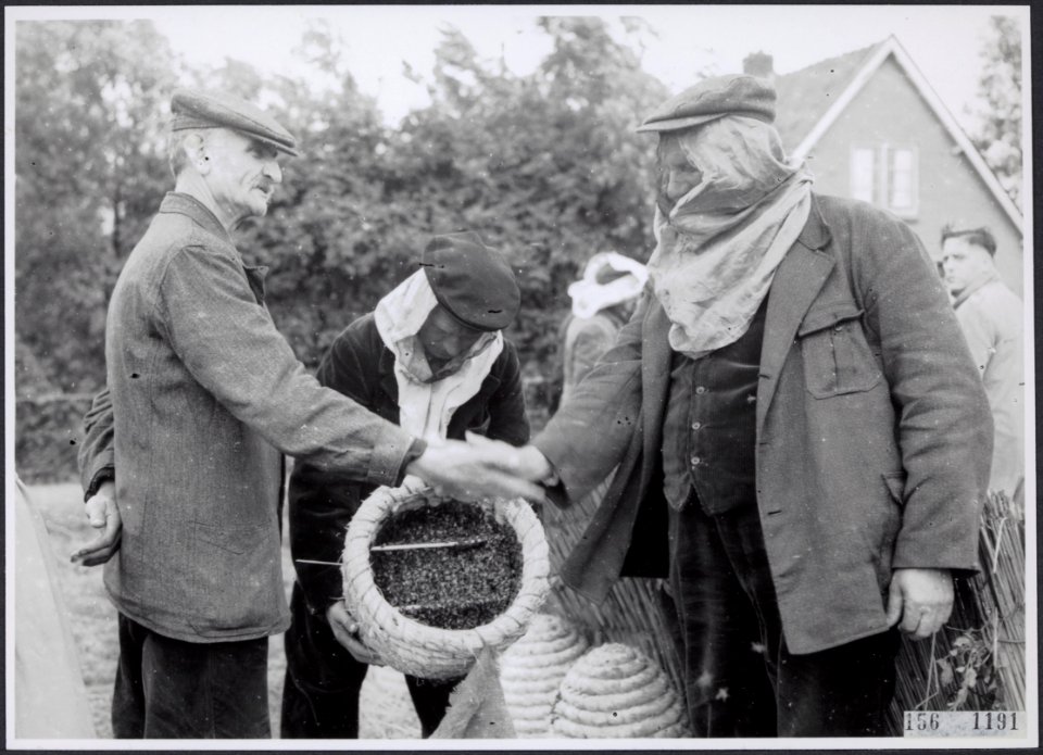 Collectie Fotocollectie Rijksvoorlichtingsdienst Eigen, fotonummer 156-1191, Bestanddeelnr 156-1191