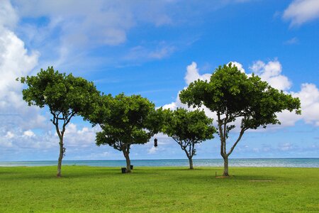 Beach ocean hawaiian photo