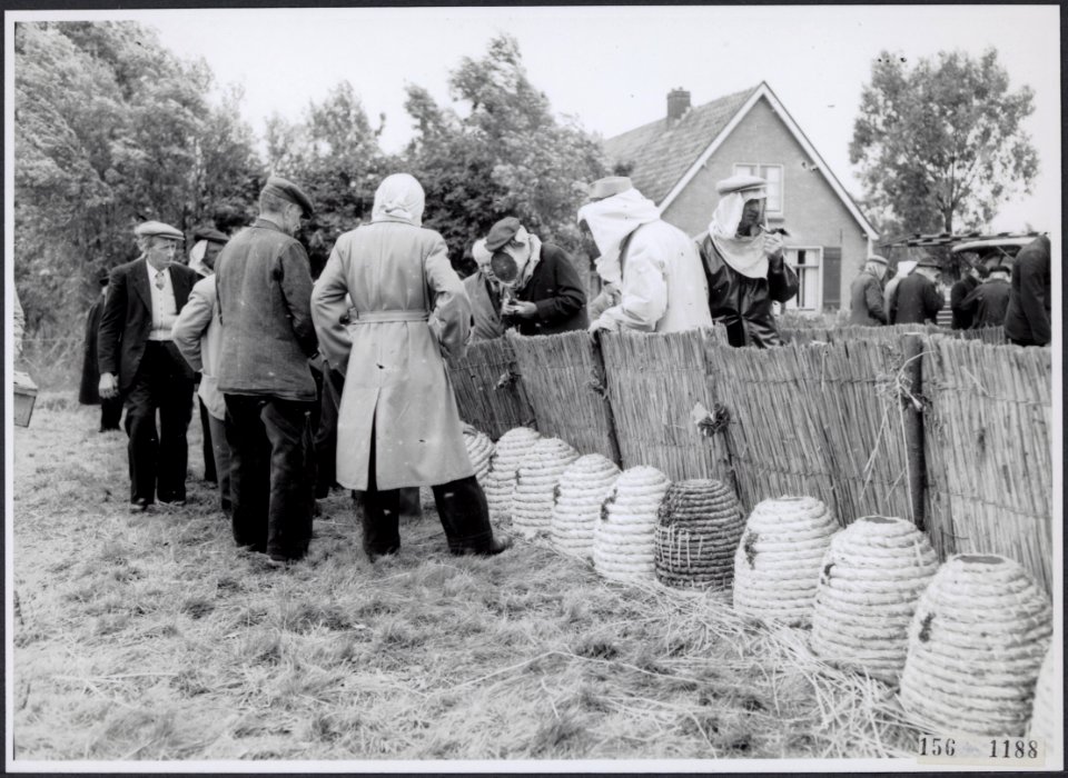 Collectie Fotocollectie Rijksvoorlichtingsdienst Eigen, fotonummer 156-1188, Bestanddeelnr 156-1188