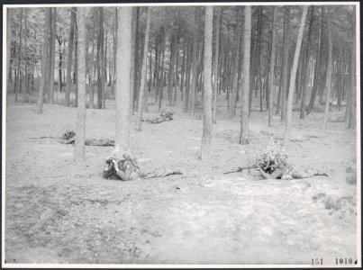 Collectie Fotocollectie Rijksvoorlichtingsdienst Eigen, fotonummer 151-1010, Bestanddeelnr 151-1010