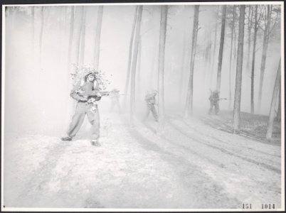 Collectie Fotocollectie Rijksvoorlichtingsdienst Eigen, fotonummer 151-1014, Bestanddeelnr 151-1014