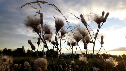 Clouds summer alsace