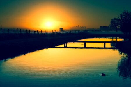 Morning nice sun