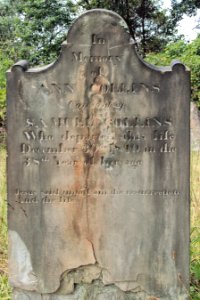 Collins (Ann), Bethany Cemetery, 2015-08-30, 01