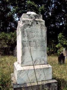 Collins (Samuel), Bethany Cemetery, 2015-08-30, 01