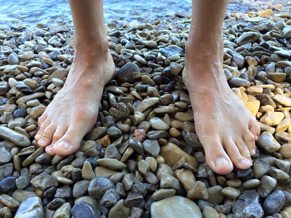 Beach lake shore