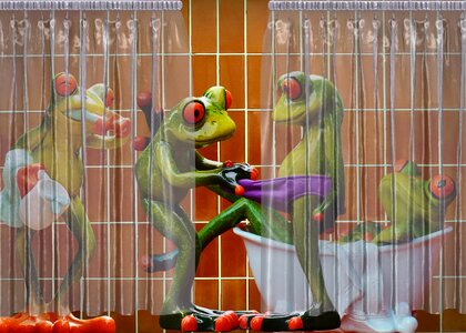 Funny cute frog