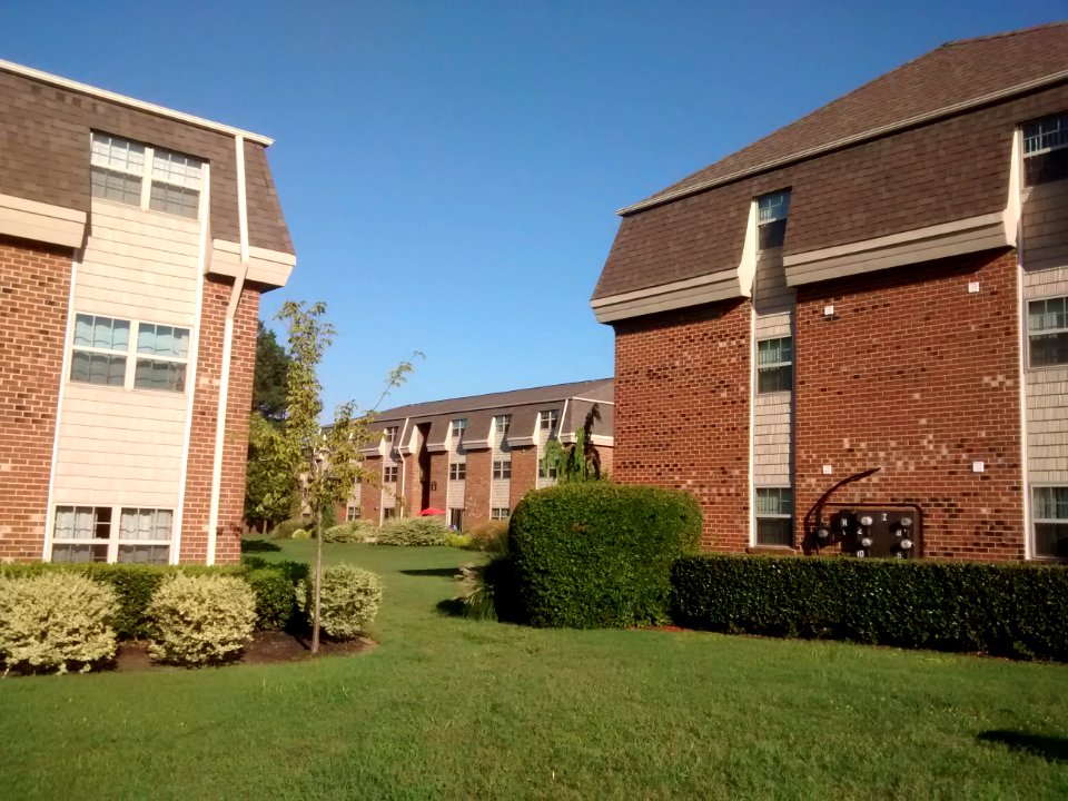Collins Crossing in 2016 1