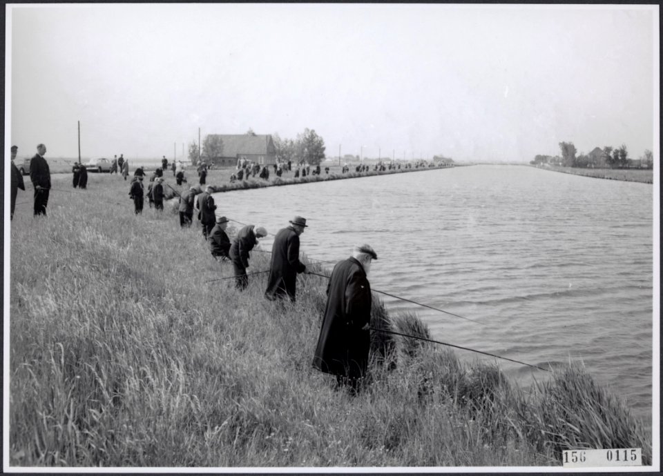 Collectie Fotocollectie Rijksvoorlichtingsdienst Eigen, fotonummer 156-0115, Bestanddeelnr 156-0115