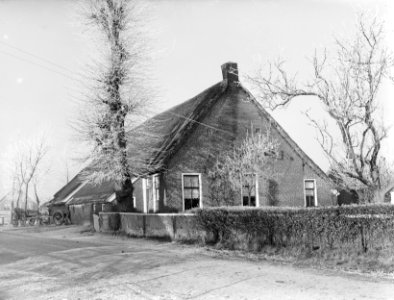 Collectie Fotocollectie Nederlandse Heidemaatschappij, fotonummer 192-0206, Bestanddeelnr 192-0206