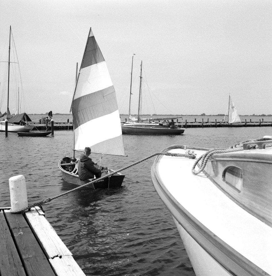 Collectie Fotocollectie Nederlandse Heidemaatschappij, fotonummer 163-1002, Bestanddeelnr 163-1002