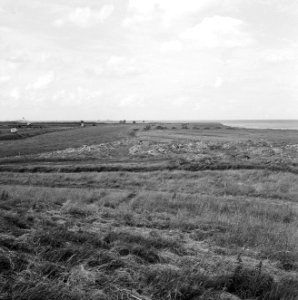 Collectie Fotocollectie Nederlandse Heidemaatschappij, fotonummer 163-1038, Bestanddeelnr 163-1038