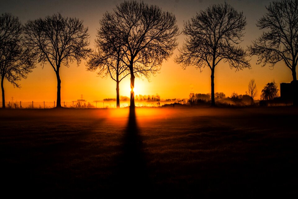 Landscape nature fog