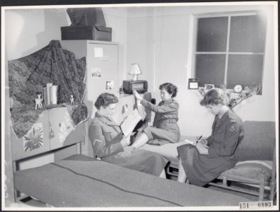 Collectie Fotocollectie Rijksvoorlichtingsdienst Eigen, fotonummer 151-0803, Bestanddeelnr 151-0803