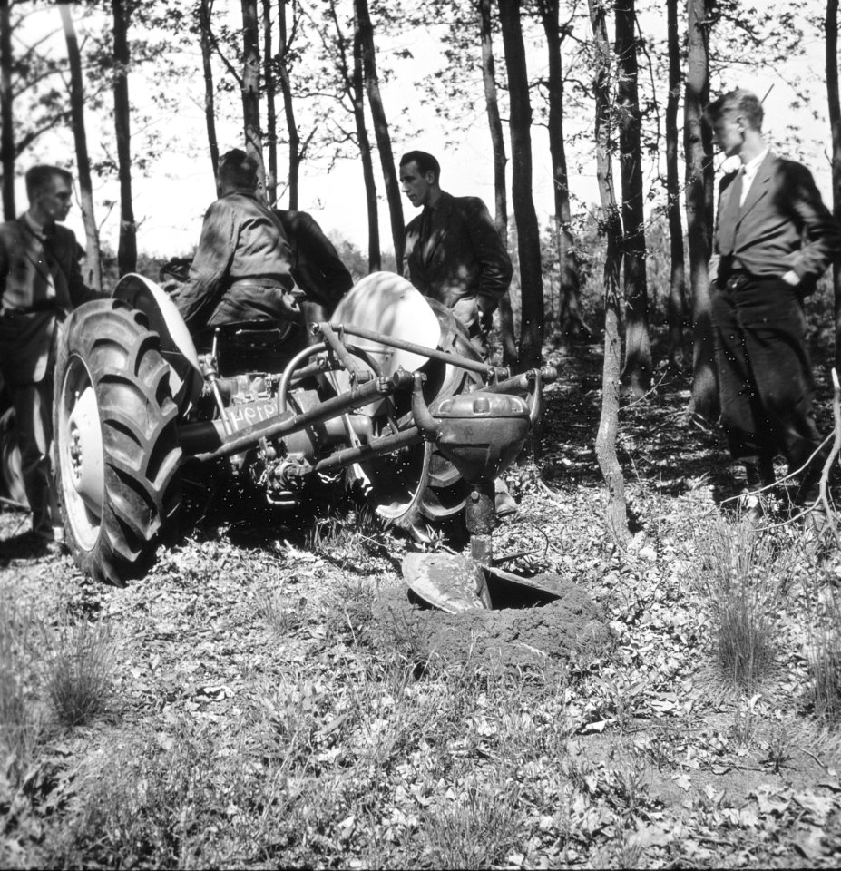 Collectie Fotocollectie Nederlandse Heidemaatschappij, fotonummer 195-0025, Bestanddeelnr 195-0025