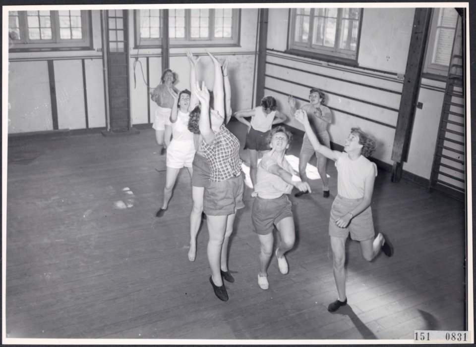 Collectie Fotocollectie Rijksvoorlichtingsdienst Eigen, fotonummer 151-0831, Bestanddeelnr 151-0831