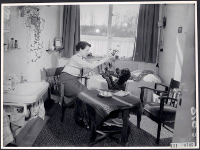 Collectie Fotocollectie Rijksvoorlichtingsdienst Eigen, fotonummer 151-0785, Bestanddeelnr 151-0785