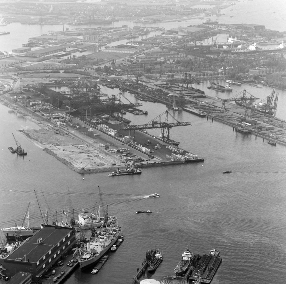 Collectie Fotocollectie Nederlandse Heidemaatschappij, fotonummer 250-8102, Bestanddeelnr 250-8102