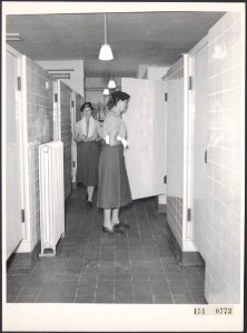 Collectie Fotocollectie Rijksvoorlichtingsdienst Eigen, fotonummer 151-0772, Bestanddeelnr 151-0772