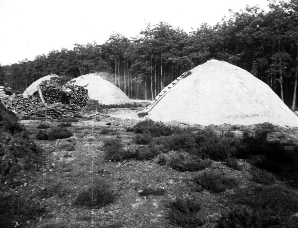 Collectie Fotocollectie Nederlandse Heidemaatschappij, fotonummer 194-0663, Bestanddeelnr 194-0663