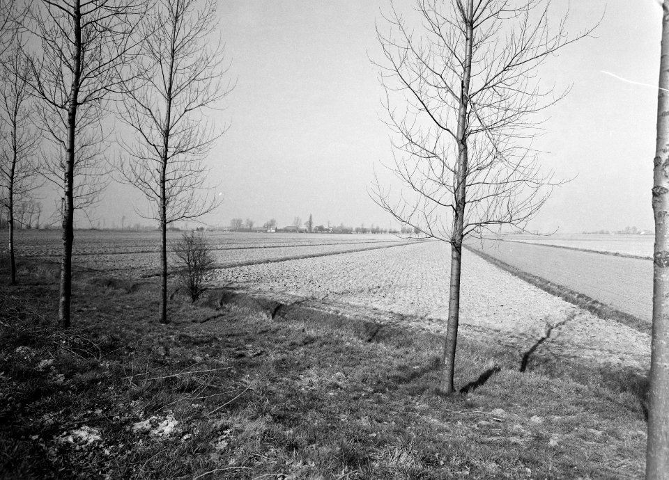 Collectie Fotocollectie Nederlandse Heidemaatschappij, fotonummer 164-0014, Bestanddeelnr 164-0014