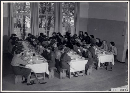 Collectie Fotocollectie Rijksvoorlichtingsdienst Eigen, fotonummer 151-0812, Bestanddeelnr 151-0812