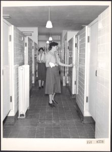 Collectie Fotocollectie Rijksvoorlichtingsdienst Eigen, fotonummer 151-0771, Bestanddeelnr 151-0771