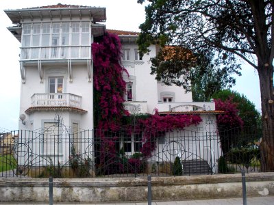 Colindres 08