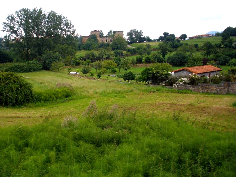 Colindres 16