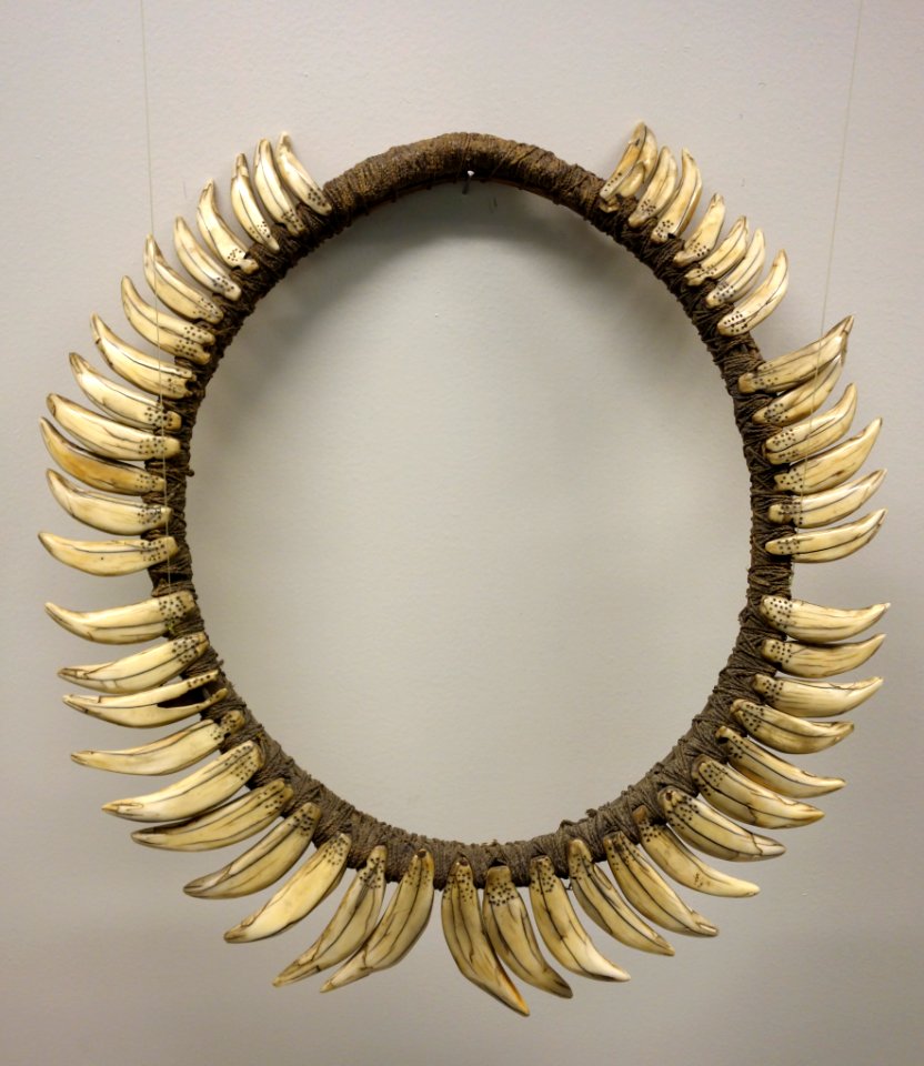 Collar, lions teeth - Zaire - Royal Museum for Central Africa - DSC07026