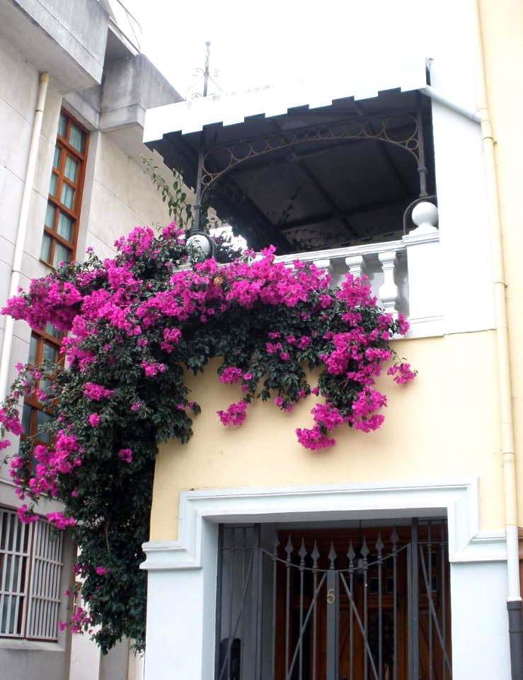 Colindres 10