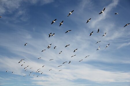 Sky fun inspiration