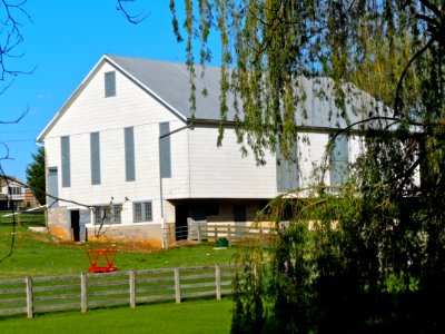 Coldbrook Farm Frankco