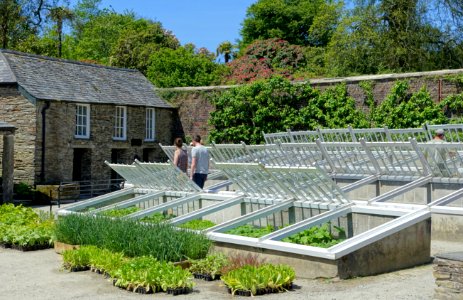 Cold frames - Lost Gardens of Heligan - Cornwall, England - DSC02850