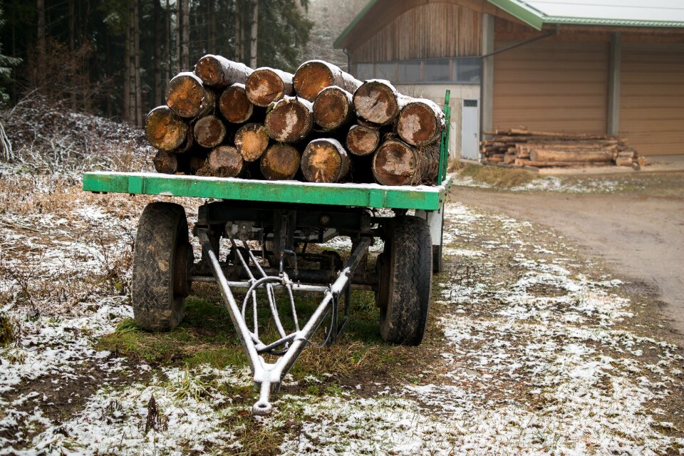 Strains earrings timber industry