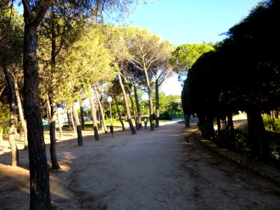 Collado Villalba - Parque de Peñalba 3